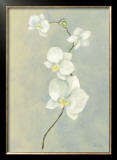 Buy Blue Orchid Stem at AllPosters.com