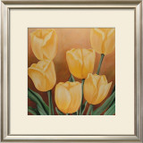 Buy Orange Tulips at AllPosters.com