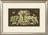 Buy Nature's Splendor on Chocolate I at AllPosters.com