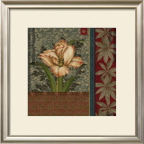 Buy Pappagallo I at AllPosters.com