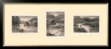 The Elusive Salmon Triptych