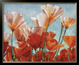 Buy Blushing at AllPosters.com