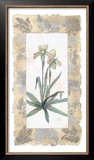 Buy Elegant Orchid at AllPosters.com