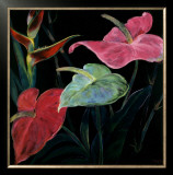 Buy In Bloom II at AllPosters.com