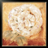 Buy Wild Romance at AllPosters.com