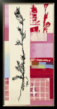 Buy Descorania Sophiodes at AllPosters.com