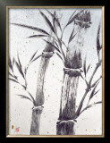 Buy Cool Bamboo II at AllPosters.com