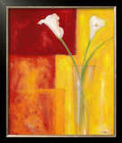 Callas Auf Warmen Rot