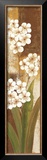 Buy Tropical Blossom I at AllPosters.com