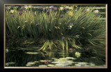 Buy Water Garden Secret at AllPosters.com