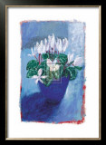 Buy Cyclamen at AllPosters.com