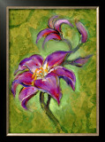 Buy Lily at AllPosters.com