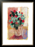 Buy Geranium at AllPosters.com