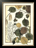 Buy Arts and Crafts Hazelnut at AllPosters.com