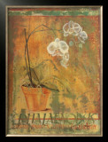 Canvas Floral I