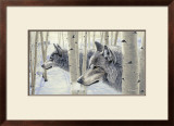 Buy Among the Aspens at AllPosters.com