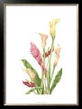 Buy Tropical Bouquet II at AllPosters.com