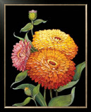 Buy Midnight Bloom II at AllPosters.com
