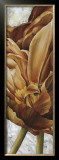 Buy Single Appeal II at AllPosters.com