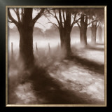 Buy Path by Field at AllPosters.com