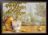 Lemon House near Amalfi