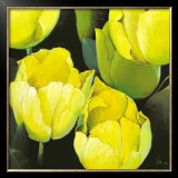 Buy Tulipanes Amarillos at AllPosters.com