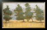 Buy Afternoon Haze at AllPosters.com