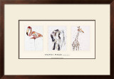 Buy Animal Magic at AllPosters.com