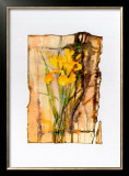 Light and Shade II