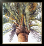 Buy Roma Palm at AllPosters.com