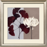 Merlot Contemplation
