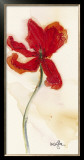 Tulipe III