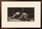 Buy Irish Wolfhound at AllPosters.com