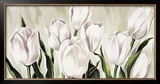 Buy Tulipani Bianchi at AllPosters.com