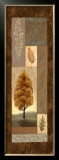 Buy Mandarin Elements II at AllPosters.com