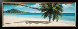 Buy Island View at AllPosters.com