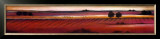 Buy Low Horizons I at AllPosters.com