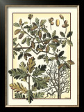 Buy Arts and Crafts Oak at AllPosters.com
