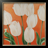 Buy White Tulips at AllPosters.com