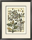 Buy Arts and Crafts Oak at AllPosters.com