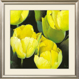 Buy Tulipanes Amarillos at AllPosters.com
