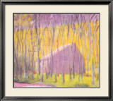 Saltbox Barn, 2002 Framed Art Print