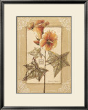 Buy Hibiscus Abelmoschus at AllPosters.com