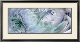 Buy Dahlias VI at AllPosters.com