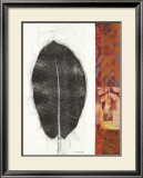 Buy Leaf Study II at AllPosters.com