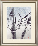 Buy Cool Bamboo I at AllPosters.com