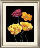 Buy Midnight Bloom I at AllPosters.com
