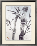 Buy Cool Bamboo II at AllPosters.com