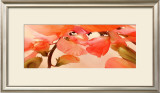 Buy Sweet Peas I at AllPosters.com
