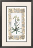 Buy Elegant Orchid at AllPosters.com